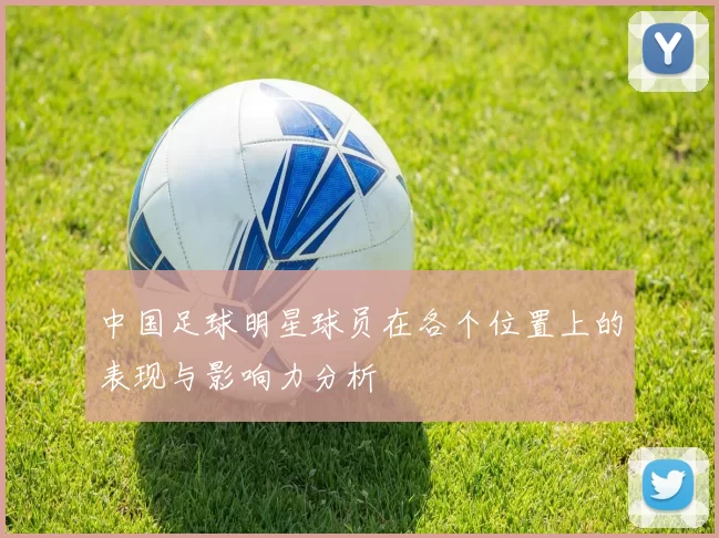 中国足球明星球员在各个位置上的表现与影响力分析