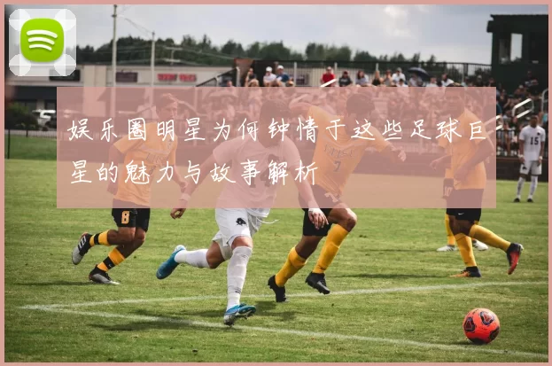 娱乐圈明星为何钟情于这些足球巨星的魅力与故事解析
