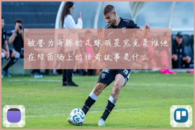 被誉为海豚的足球明星究竟是谁他在绿茵场上的传奇故事是什么