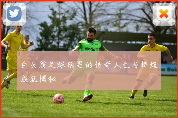 白头翁足球明星的传奇人生与辉煌成就揭秘
