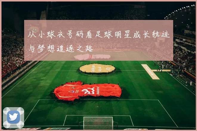 从小球衣号码看足球明星成长轨迹与梦想追逐之路