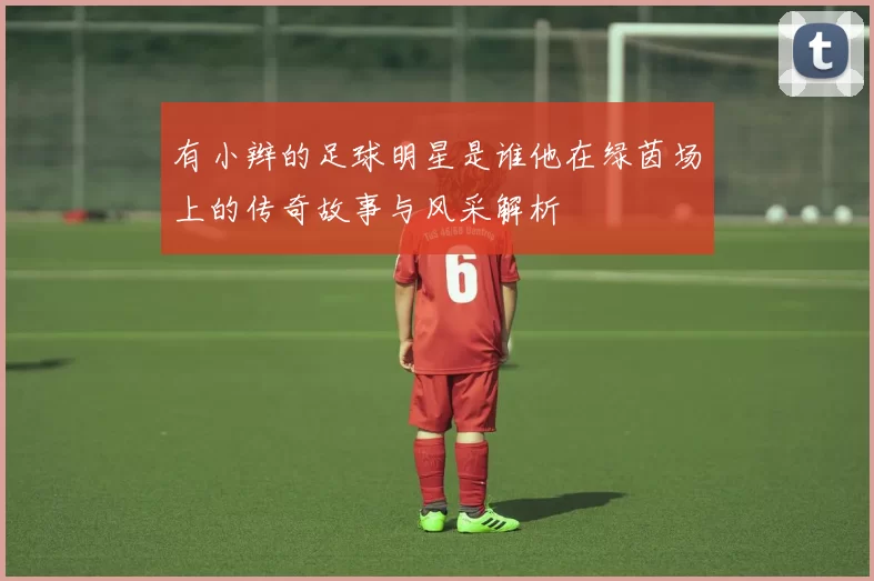有小辫的足球明星是谁他在绿茵场上的传奇故事与风采解析