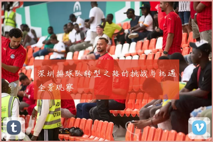 深圳排球队转型之路的挑战与机遇全景观察