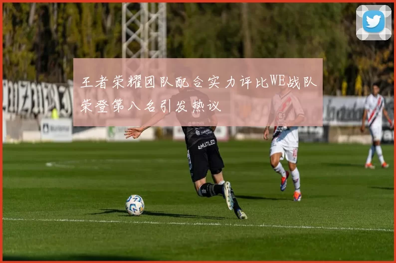 王者荣耀团队配合实力评比WE战队荣登第八名引发热议